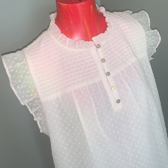 LOFT Sweet Pea Top NWT - Picture 4 of 10